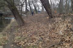 2014: Čištění pravého břehu