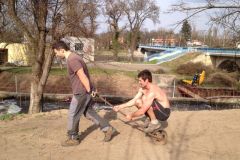 2014: Výsev trávníku